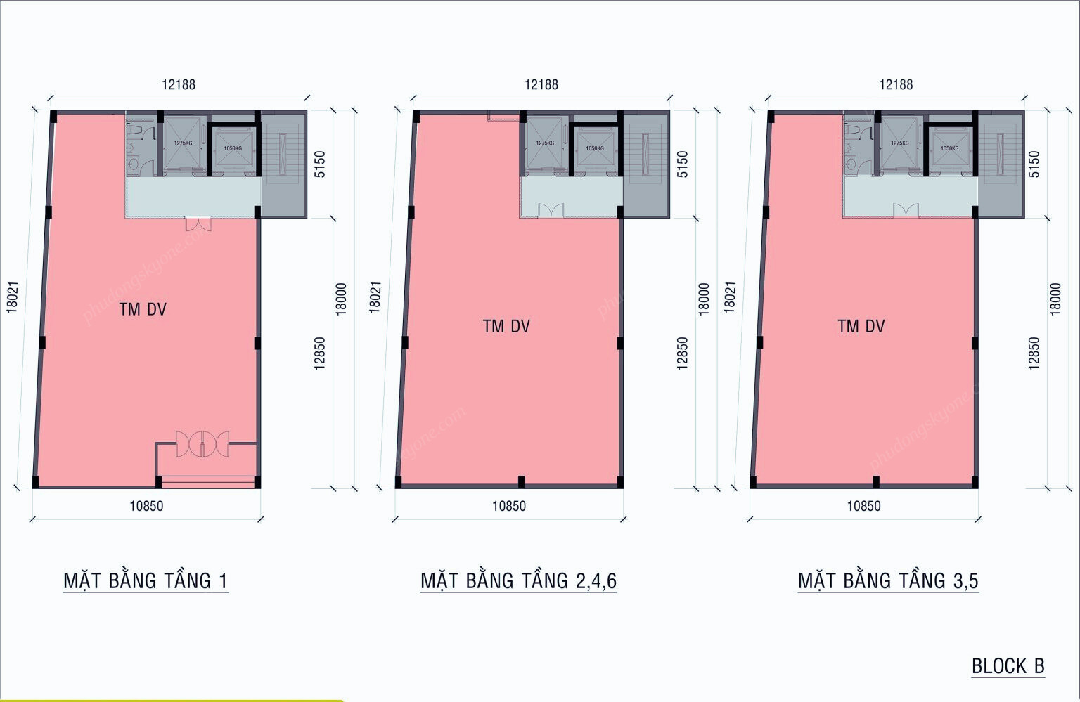Mat-bang-ava-center-block-b.jpg
