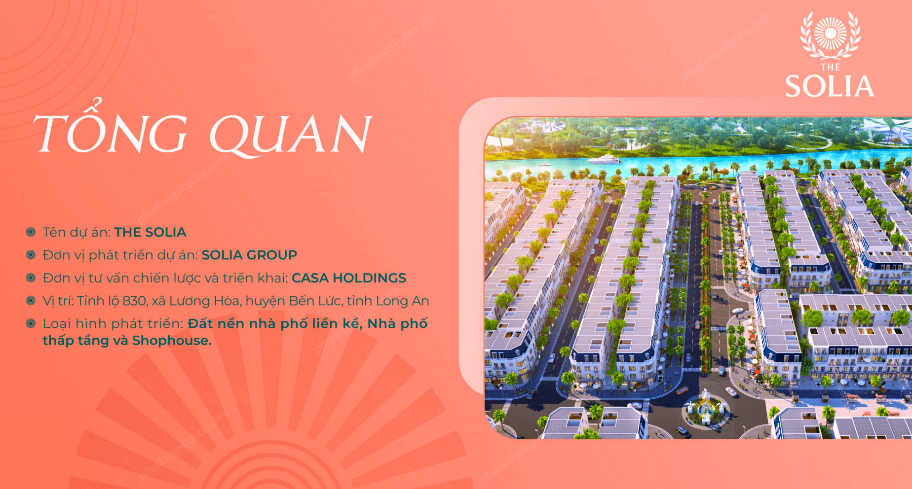 Tong-quan-the-solia